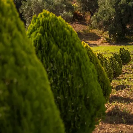 Parissis Eden Skiathos, A Mediterranean Hideaway טרולוס